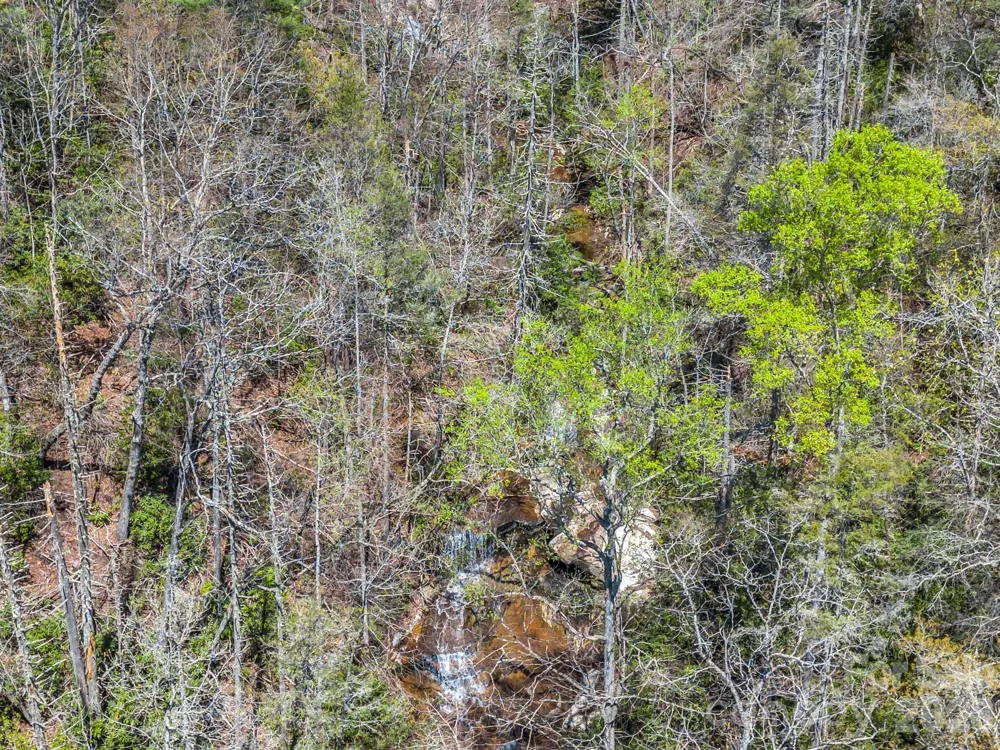 999 Bulling Creek Drive Hendersonville, NC 28739