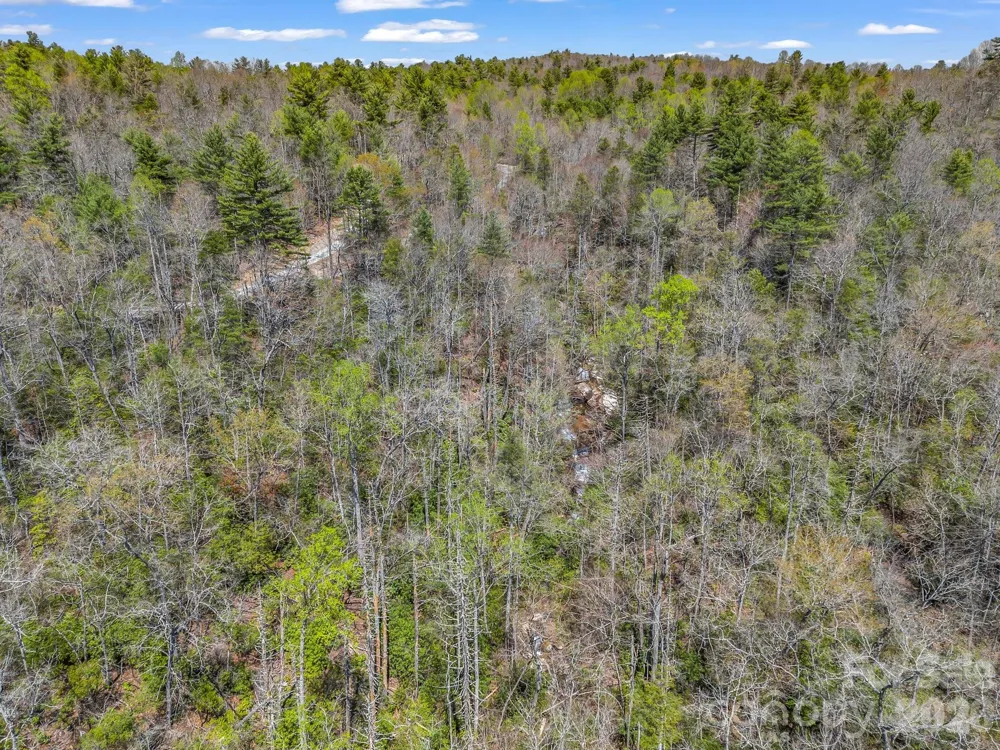 999 Bulling Creek Drive Hendersonville, NC 28739