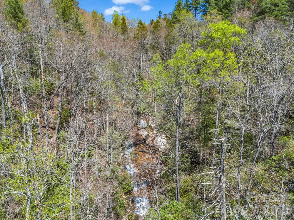 999 Bulling Creek Drive Hendersonville, NC 28739