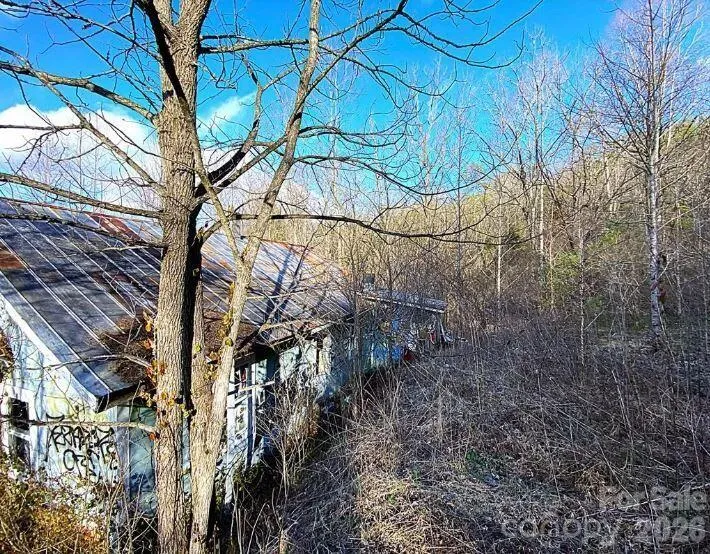 1141 Monteith Gap Road Cullowhee, NC 28723