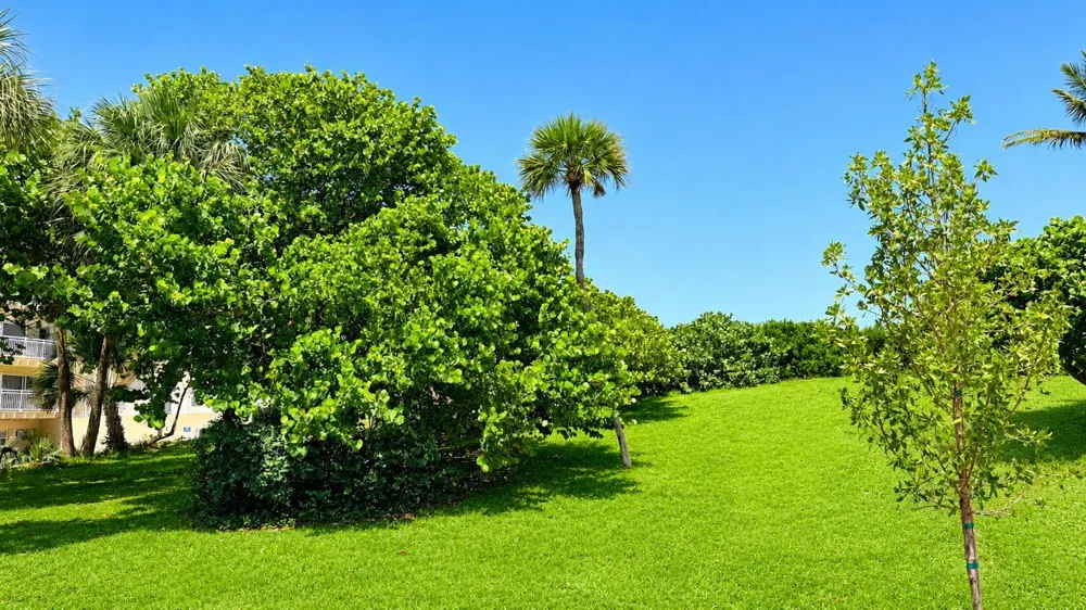 4501 S Ocean Boulevard #D4 South Palm Beach, FL 33480
