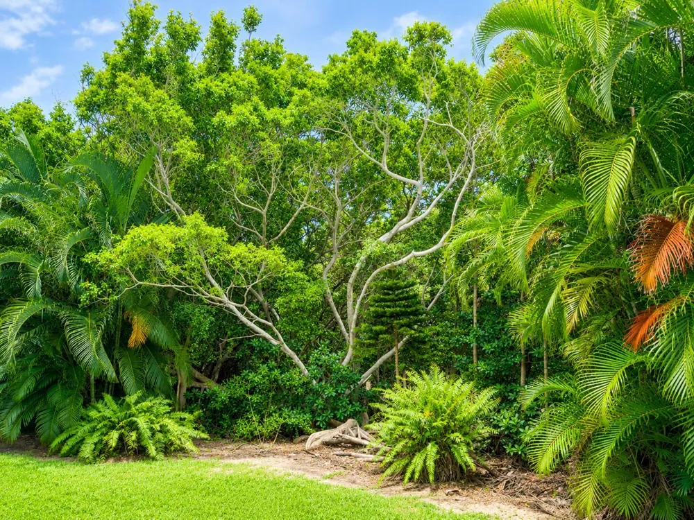 4501 S Ocean Boulevard #D4 South Palm Beach, FL 33480