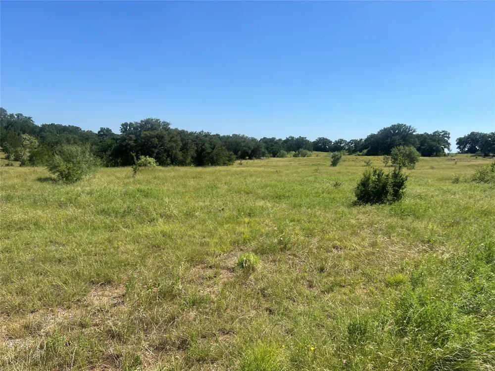 Lot 97 Mineral Wells, TX 76234