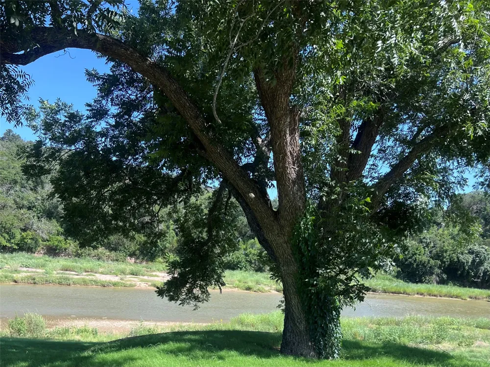 Lot 97 Mineral Wells, TX 76234