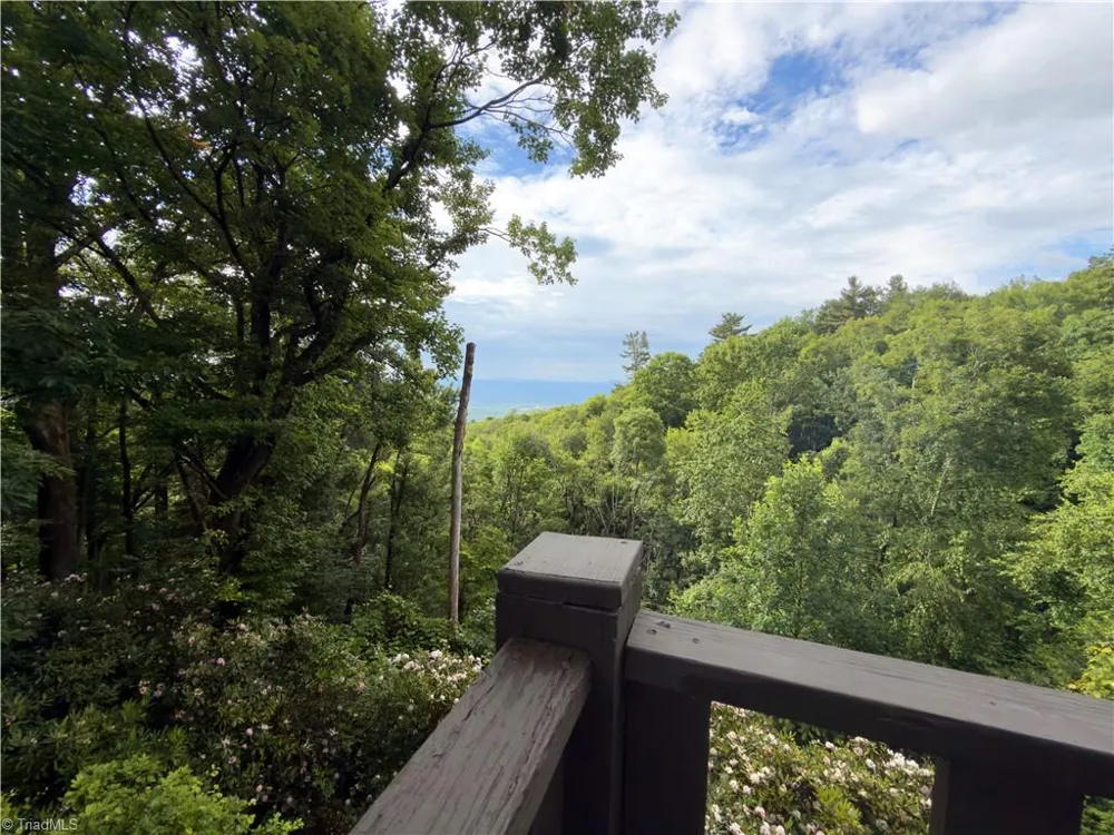 54 Windermere Way Fancy Gap, VA 24328