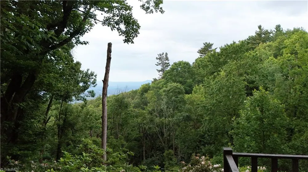 54 Windermere Way Fancy Gap, VA 24328