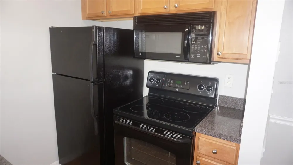 220 LAKE PARSONS GREEN #206 Brandon, FL 33511