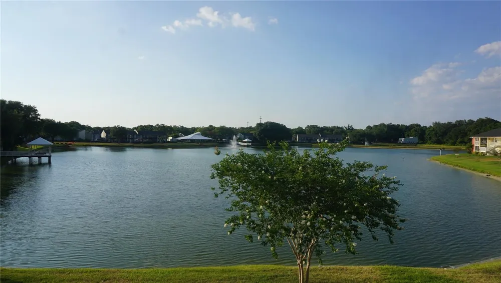 220 LAKE PARSONS GREEN #206 Brandon, FL 33511