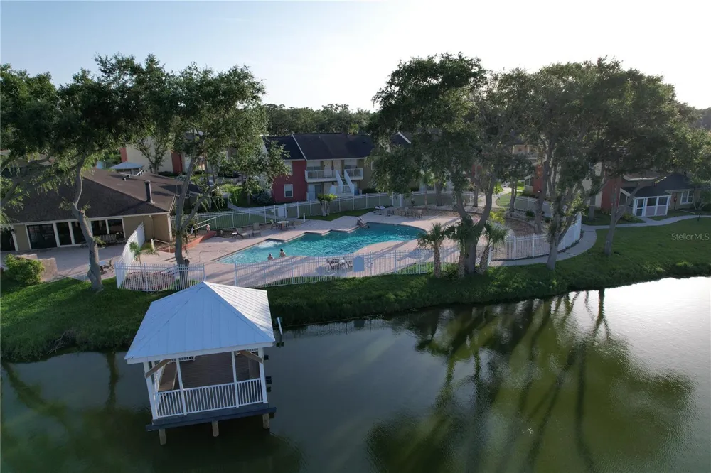 220 LAKE PARSONS GREEN #206 Brandon, FL 33511