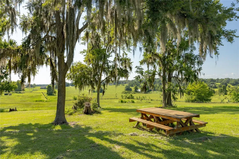 21601 OLD BELLAMY ROAD Alachua, FL 32615