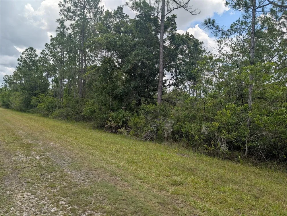 519 CAMELLIA DRIVE Indian Lake Estates, FL 33855