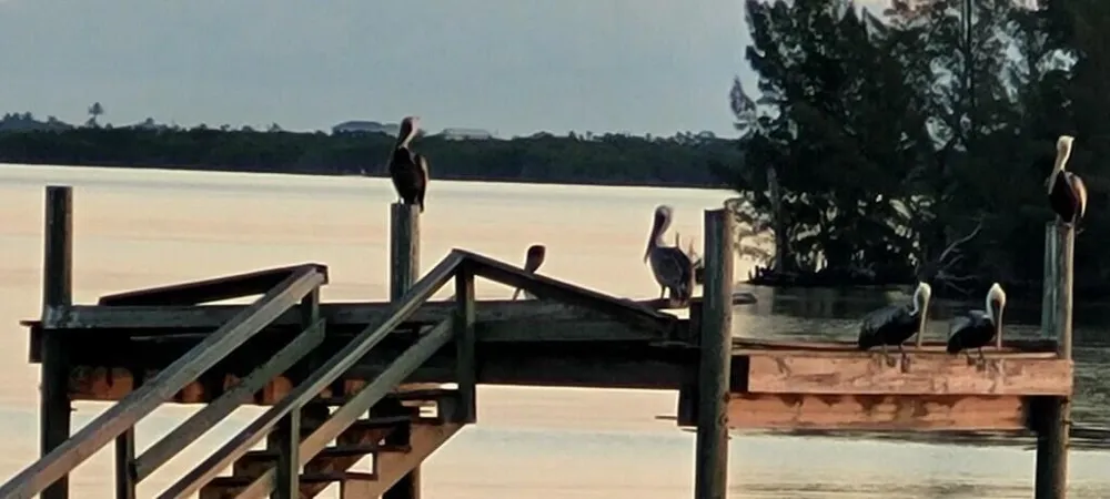 6005 River Run Drive Sebastian, FL 32958