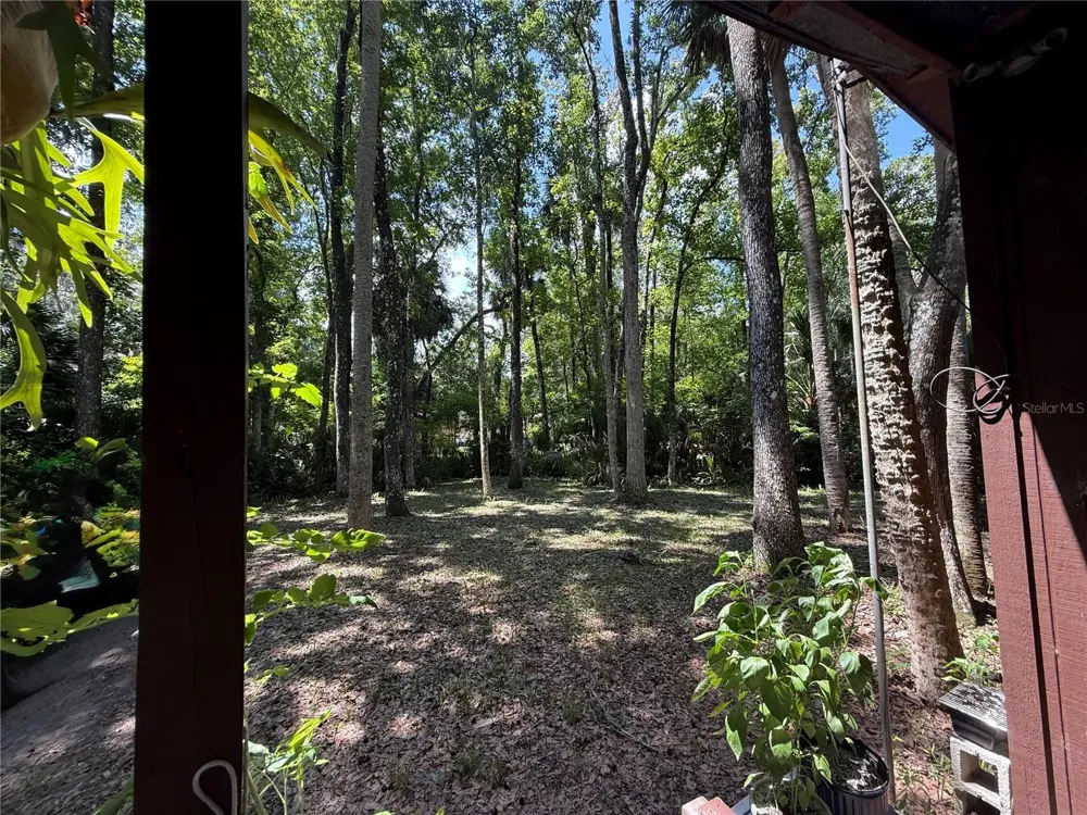 23946 INDIGO ROAD Astor, FL 32102