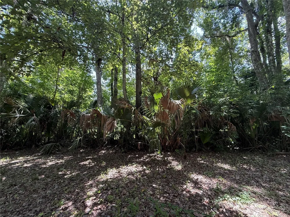 23946 INDIGO ROAD Astor, FL 32102