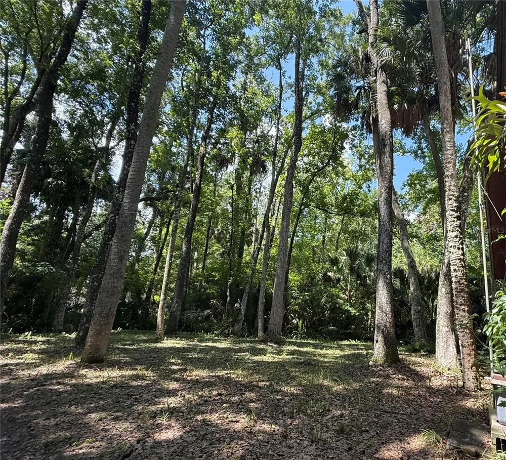 23946 INDIGO ROAD Astor, FL 32102