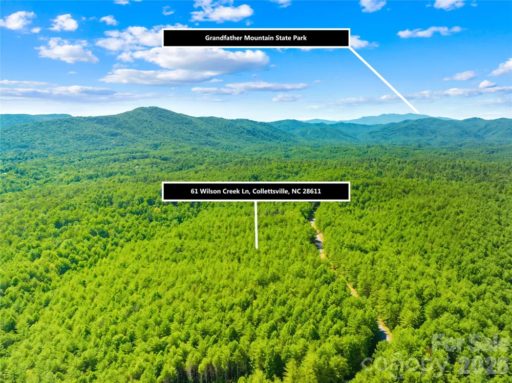 6104 COLLETTE RIDGE CIRCLE Collettsville, NC 28611