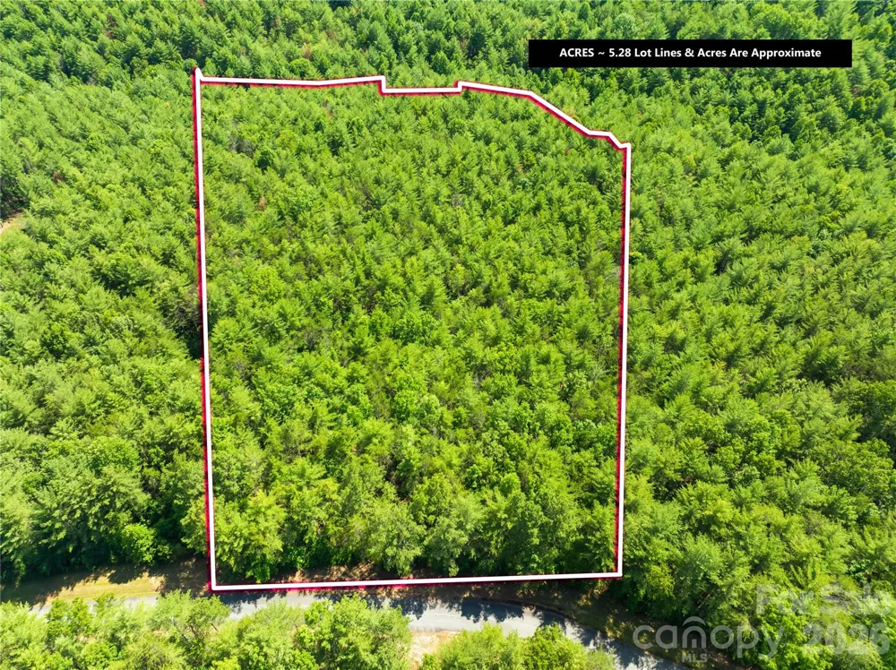 6104 COLLETTE RIDGE CIRCLE Collettsville, NC 28611