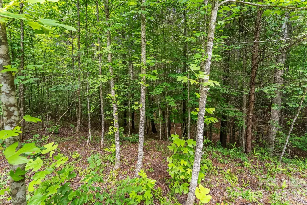 5941 Collette Ridge Circle Collettsville, NC 28611