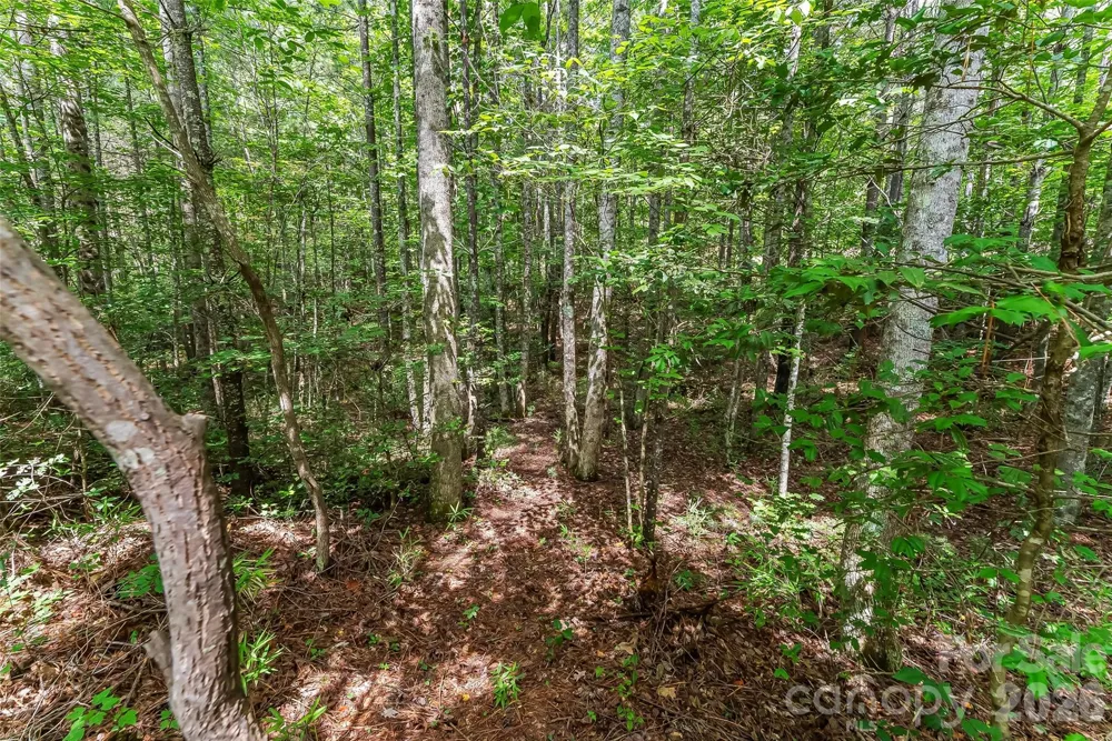 5941 Collette Ridge Circle Collettsville, NC 28611