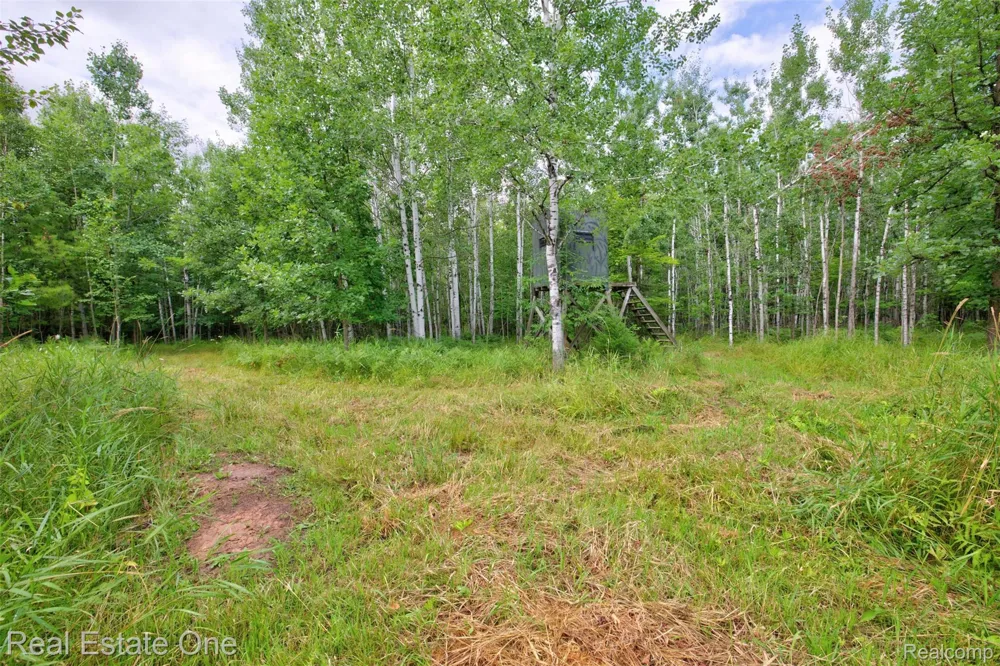 7250 Artesian Trail Cheboygan City, MI 49721