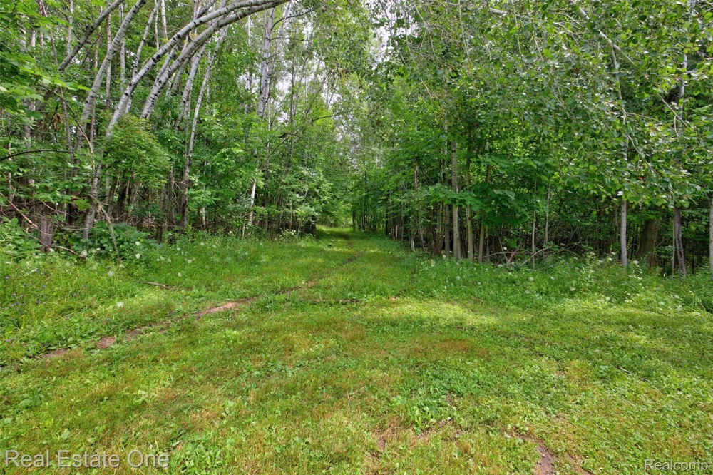 7250 Artesian Trail Cheboygan City, MI 49721