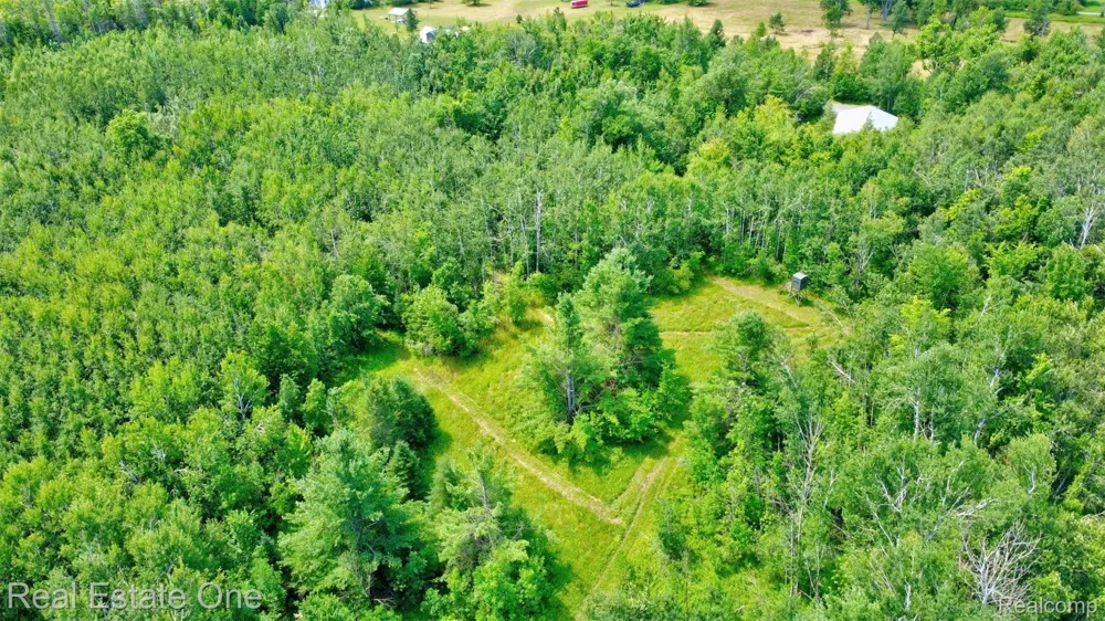 7250 Artesian Trail Cheboygan City, MI 49721