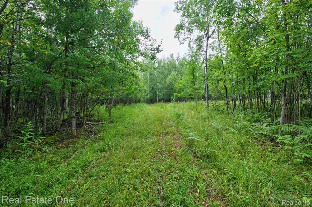 7250 Artesian Trail Cheboygan City, MI 49721