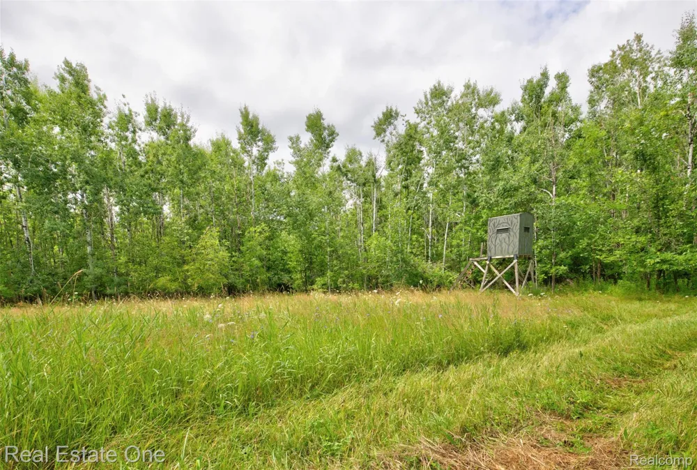 7250 Artesian Trail Cheboygan City, MI 49721