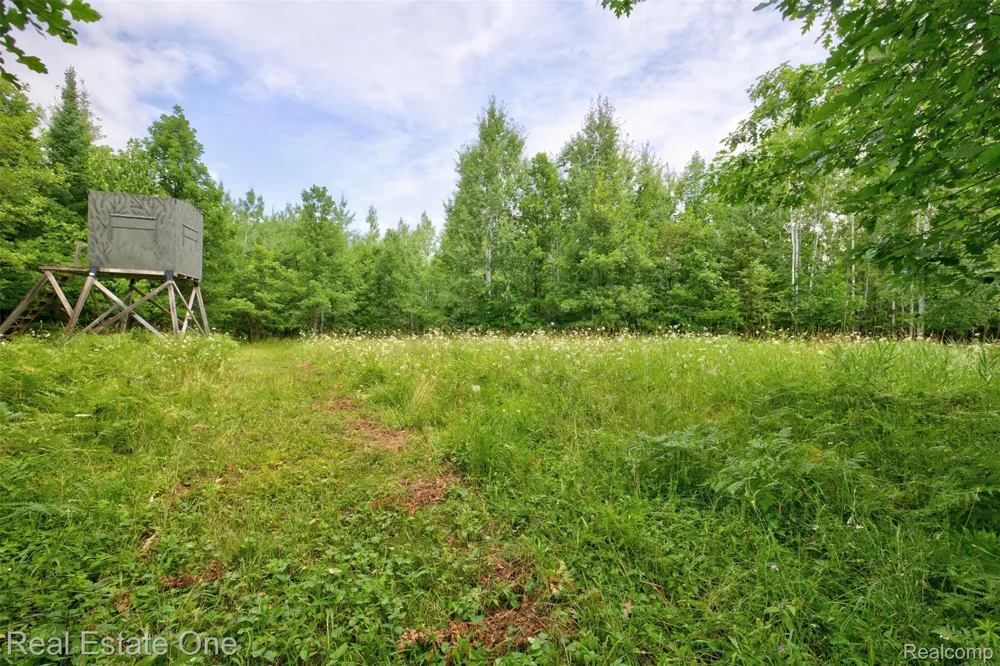 7250 Artesian Trail Cheboygan City, MI 49721