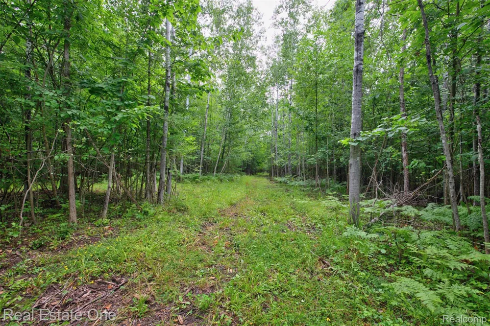 7250 Artesian Trail Cheboygan City, MI 49721