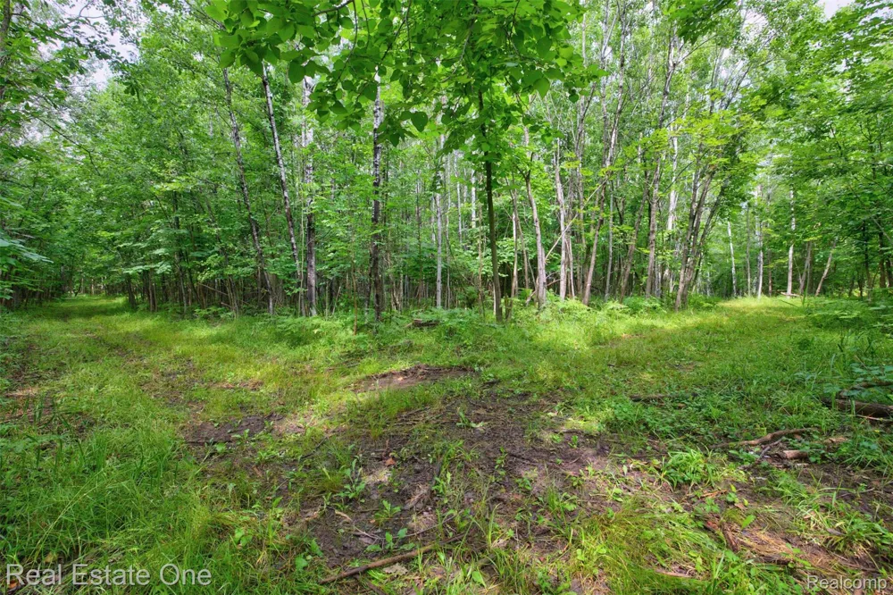 7250 Artesian Trail Cheboygan City, MI 49721