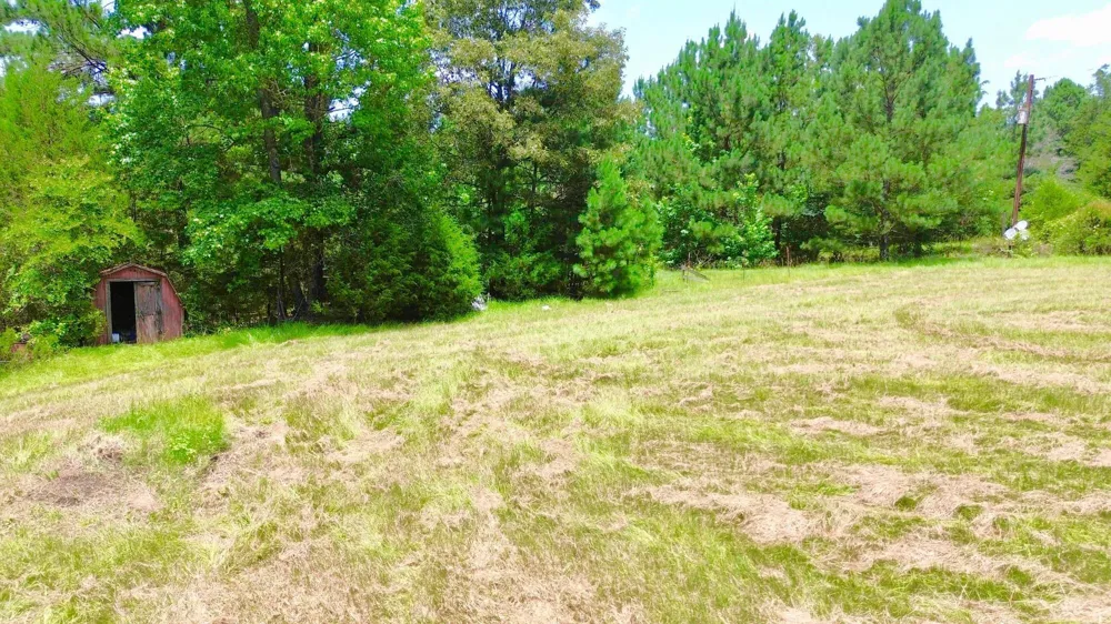 7365 Fm 2022 Grapeland, TX 75844