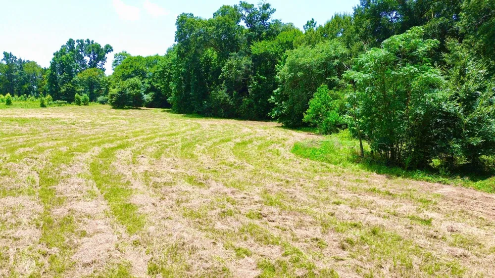7365 Fm 2022 Grapeland, TX 75844
