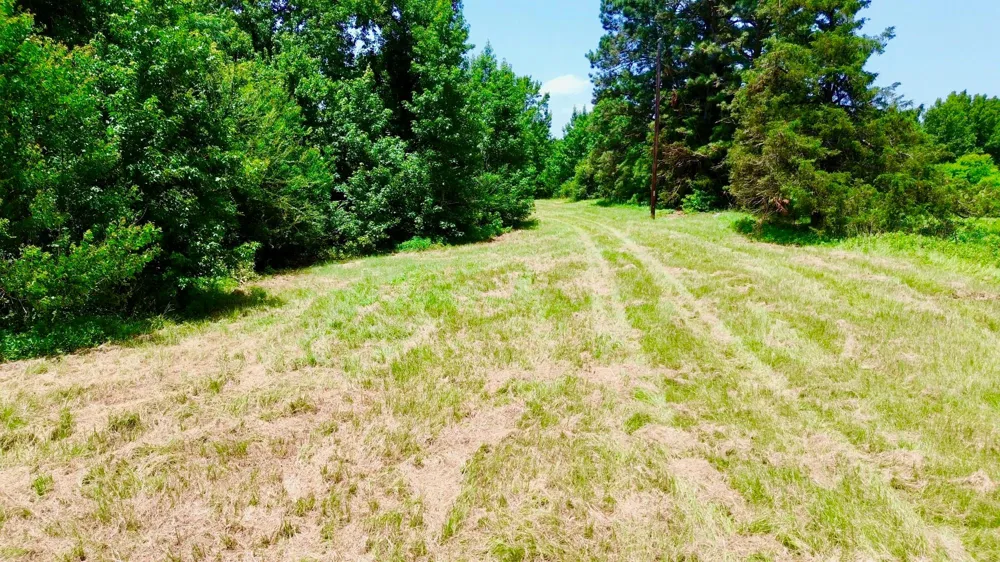 7365 Fm 2022 Grapeland, TX 75844