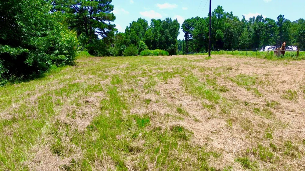 7365 Fm 2022 Grapeland, TX 75844