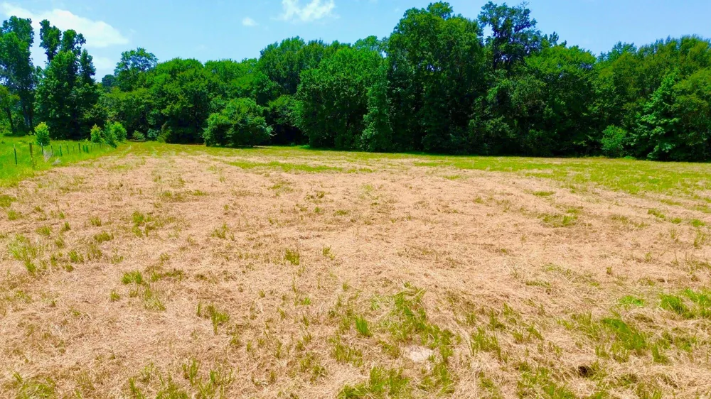 7365 Fm 2022 Grapeland, TX 75844
