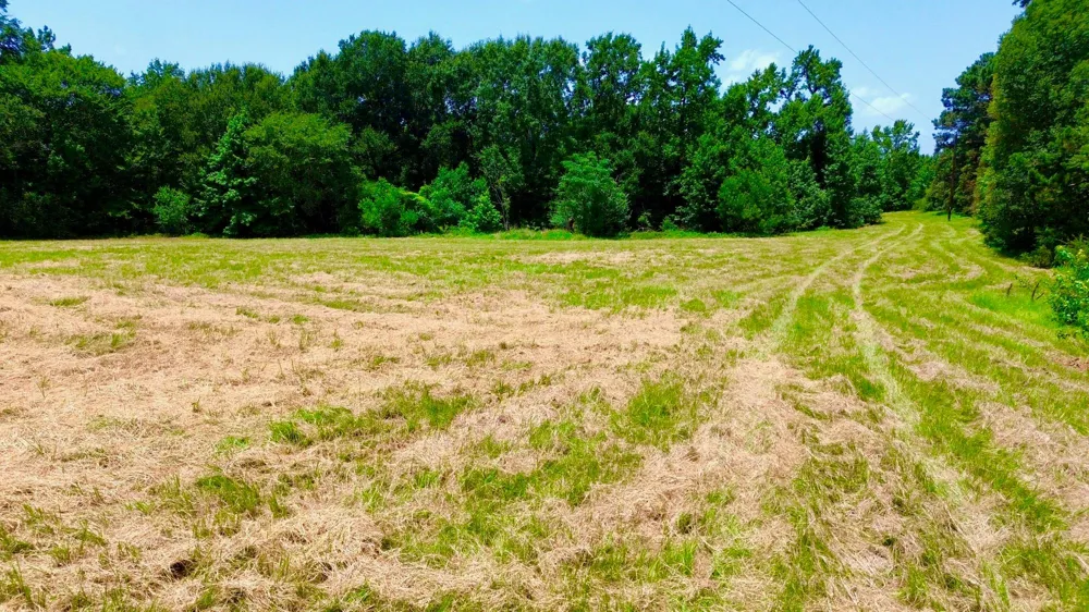 7365 Fm 2022 Grapeland, TX 75844