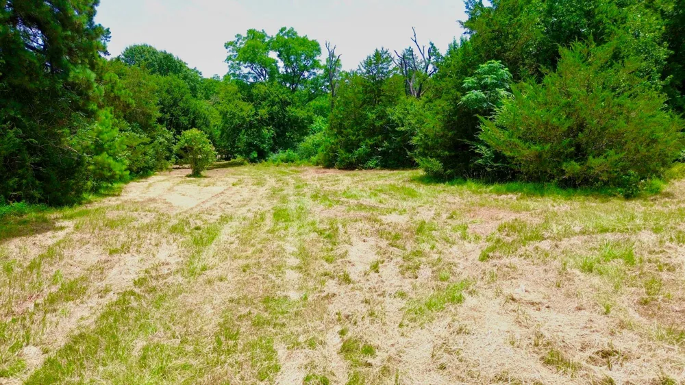 7365 Fm 2022 Grapeland, TX 75844