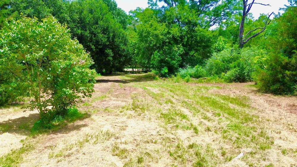 7365 Fm 2022 Grapeland, TX 75844