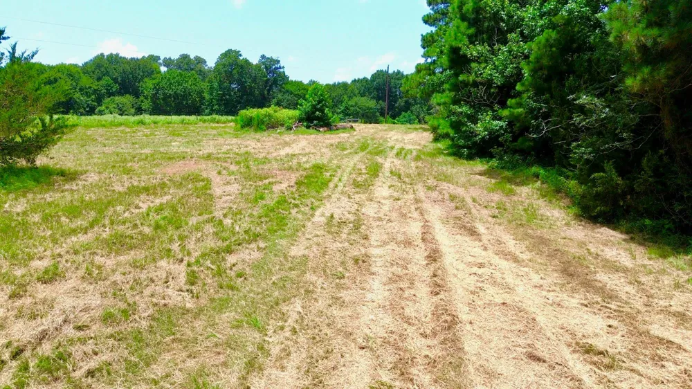 7365 Fm 2022 Grapeland, TX 75844