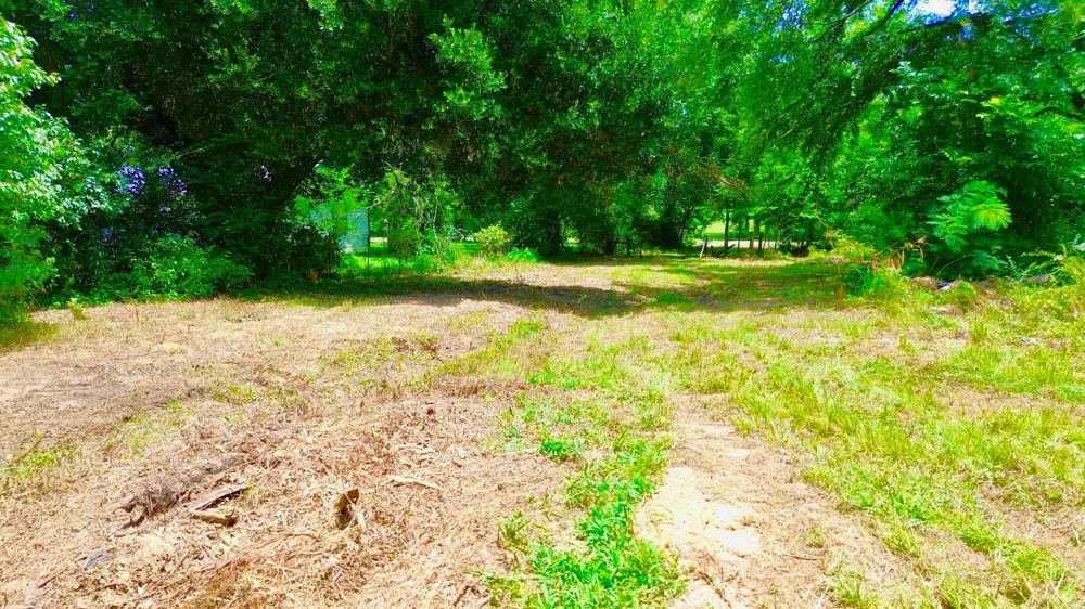 7365 Fm 2022 Grapeland, TX 75844