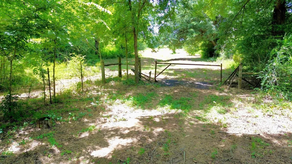 7365 Fm 2022 Grapeland, TX 75844