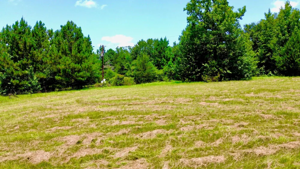 7365 Fm 2022 Grapeland, TX 75844