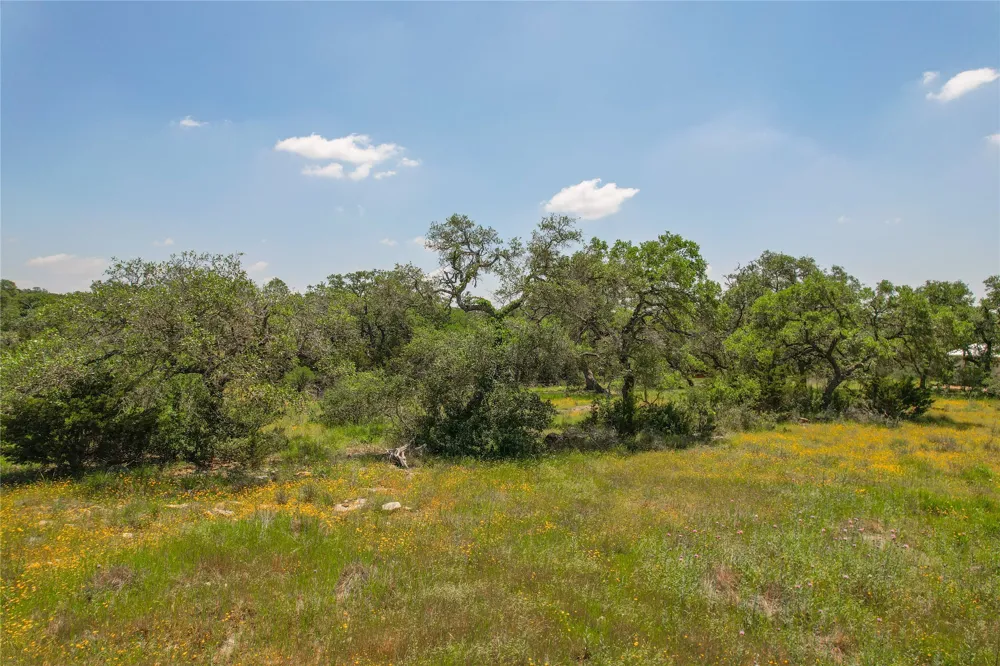 121 Asa Harold Blanco, TX 78606