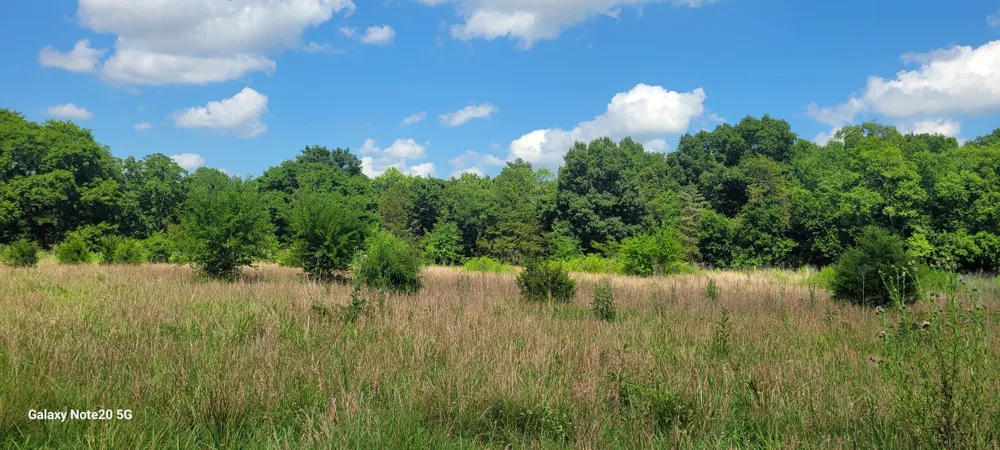 2 Clem Creek Rd Chapel Hill, TN 37034