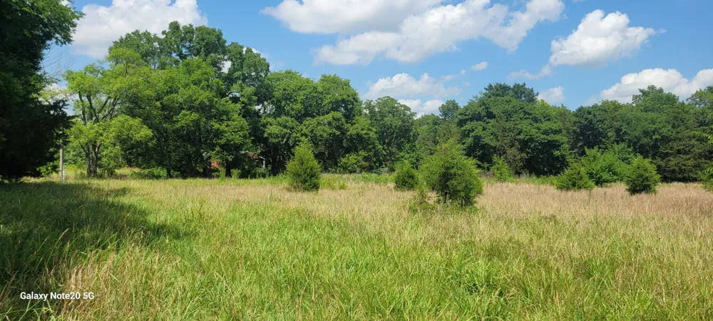 2 Clem Creek Rd Chapel Hill, TN 37034
