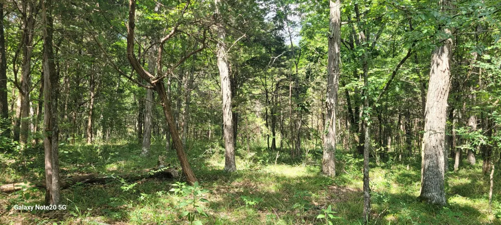 2 Clem Creek Rd Chapel Hill, TN 37034