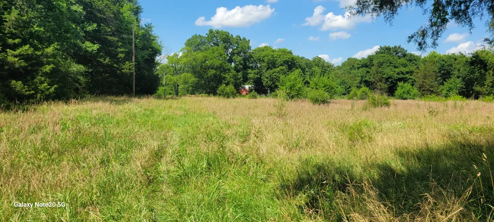 2 Clem Creek Rd Chapel Hill, TN 37034