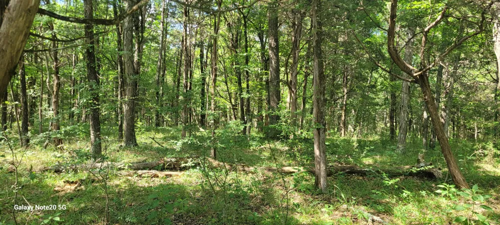 2 Clem Creek Rd Chapel Hill, TN 37034