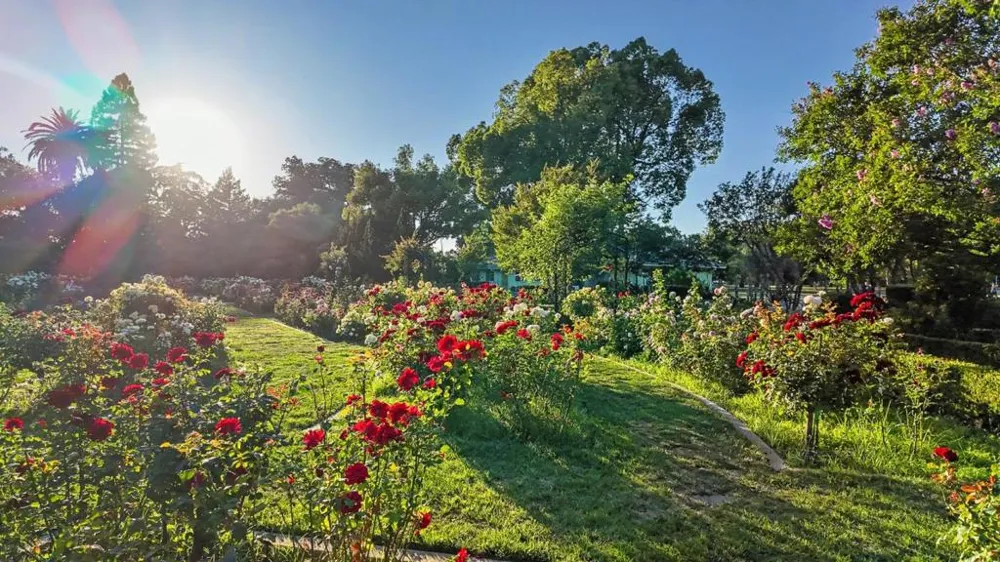 1303 39th Street Sacramento, CA 95816